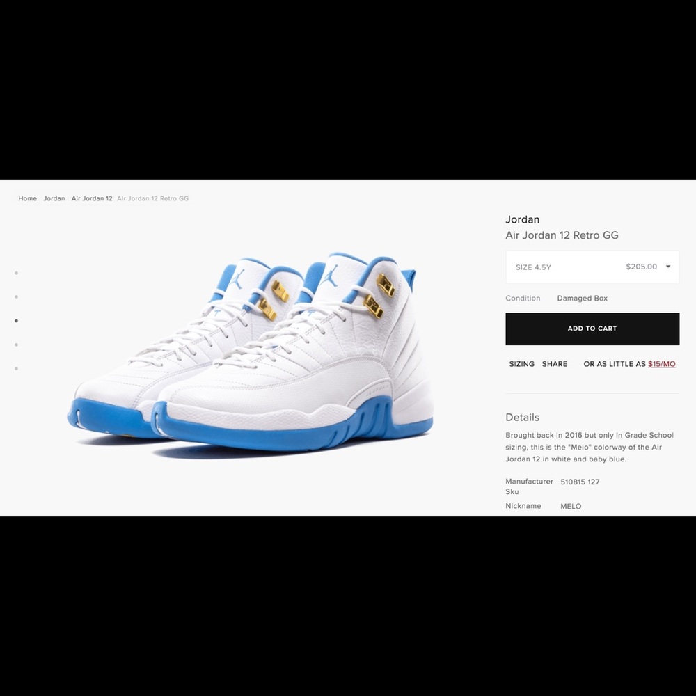 Air Jordan 12 retro GG melo